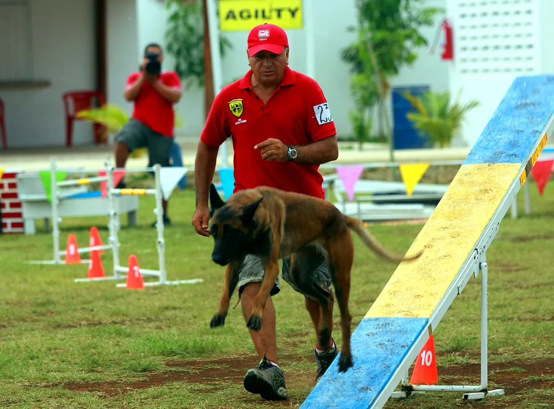Rodolfo Núñez conduce a un perro sobre la pasarela de un circuito de agilidad